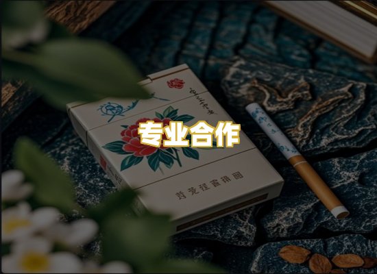 专业合作